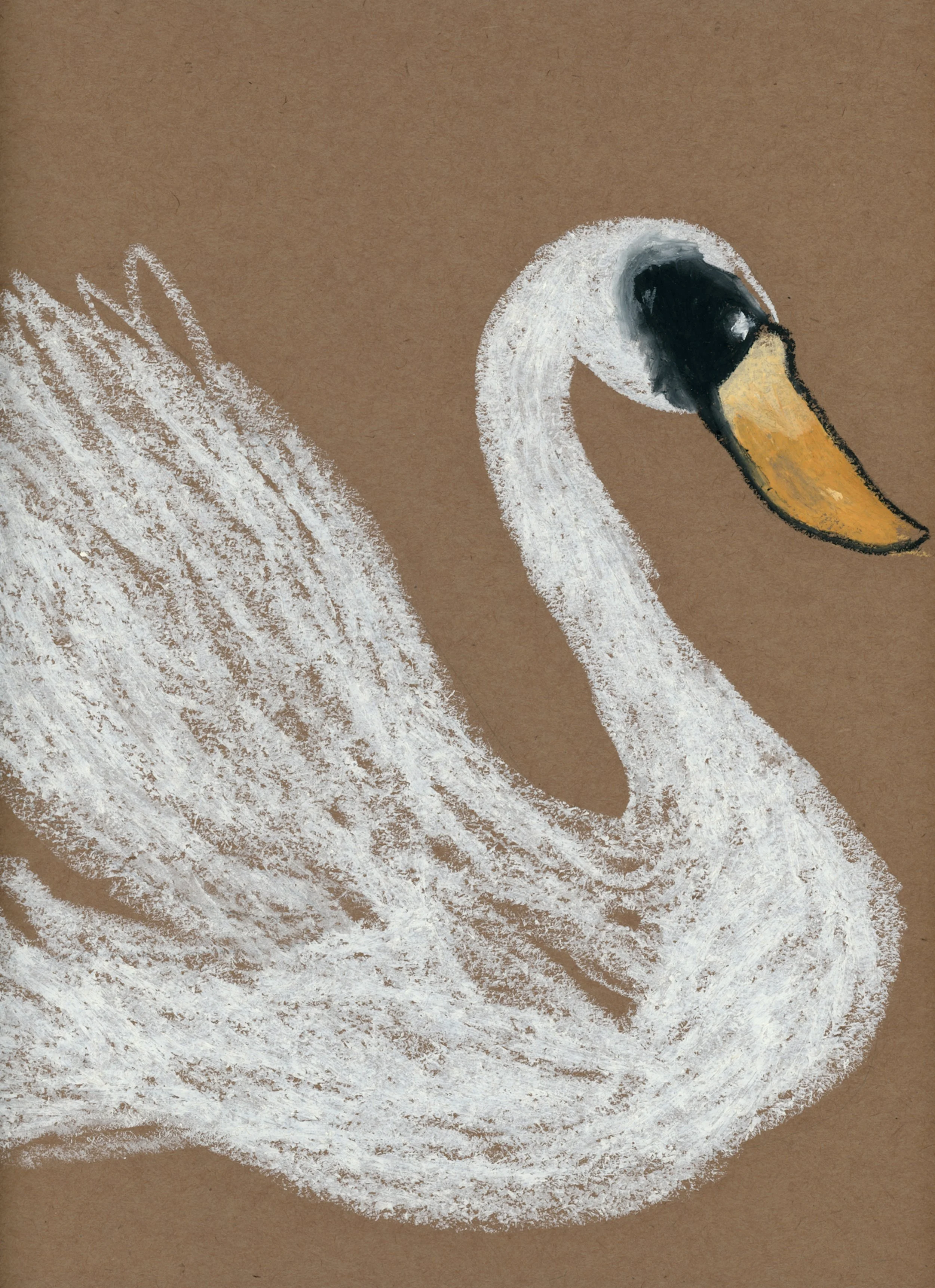 WILD SWANS BRANCH カラビナM A Special Swan | Wild View